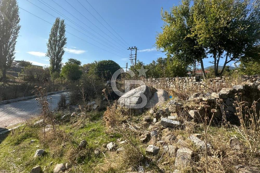 İzmir Bergama Terzihaliller Köy İçi Satılık Arazi