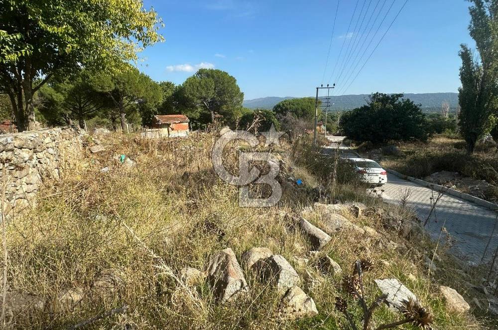 İzmir Bergama Terzihaliller Köy İçi Satılık Arazi
