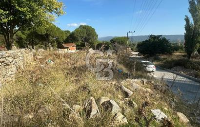 İzmir Bergama Terzihaliller Köy İçi Satılık Arazi