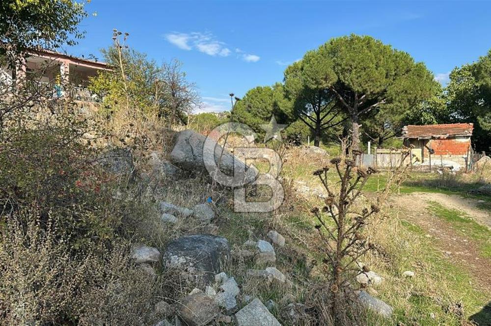 İzmir Bergama Terzihaliller Köy İçi Satılık Arazi