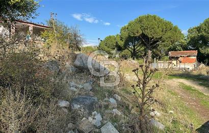 İzmir Bergama Terzihaliller Köy İçi Satılık Arazi