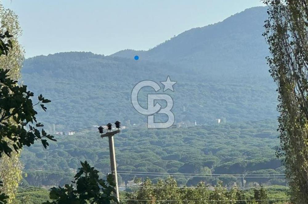 İzmir Bergama Terzihaliller Köy İçi Satılık Arazi