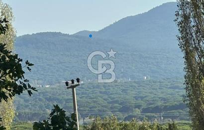 İzmir Bergama Terzihaliller Köy İçi Satılık Arazi