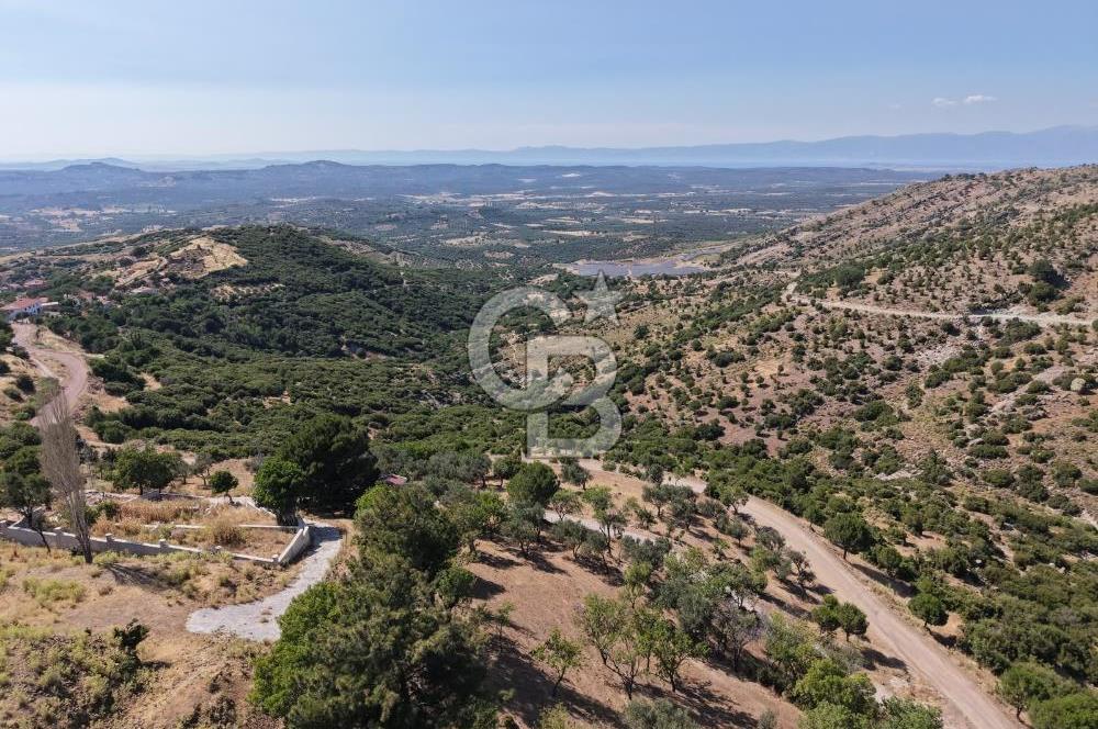 AYVALIK BULUTÇEŞME KÖYÜ'NDE DENİZ MANZARALI 3.618 m² YATIRIMLIK