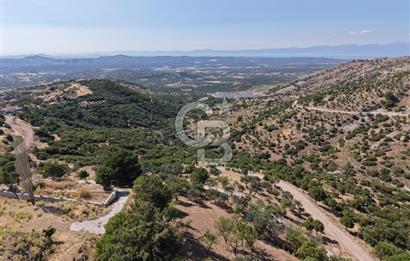 AYVALIK BULUTÇEŞME KÖYÜ'NDE DENİZ MANZARALI 3.618 m² YATIRIMLIK