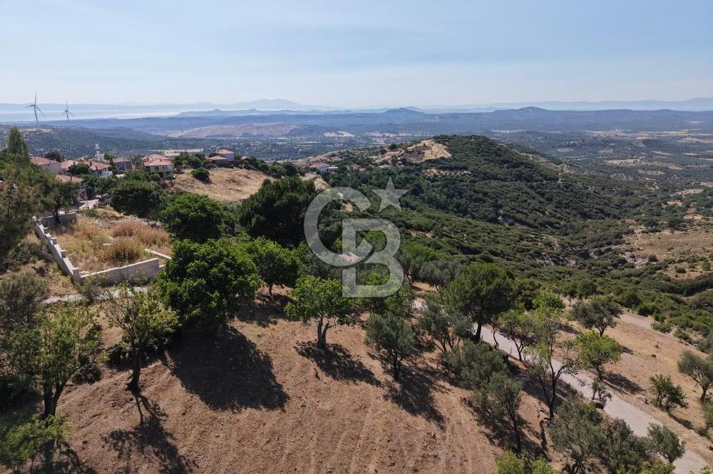 AYVALIK BULUTÇEŞME KÖYÜ'NDE DENİZ MANZARALI 3.618 m² YATIRIMLIK