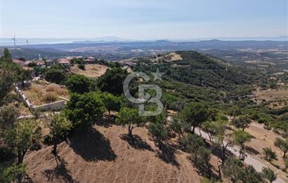 AYVALIK BULUTÇEŞME KÖYÜ'NDE DENİZ MANZARALI 3.618 m² YATIRIMLIK