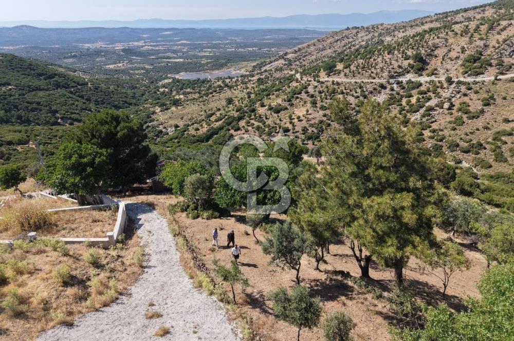 AYVALIK BULUTÇEŞME KÖYÜ'NDE DENİZ MANZARALI 3.618 m² YATIRIMLIK