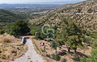 AYVALIK BULUTÇEŞME KÖYÜ'NDE DENİZ MANZARALI 3.618 m² YATIRIMLIK