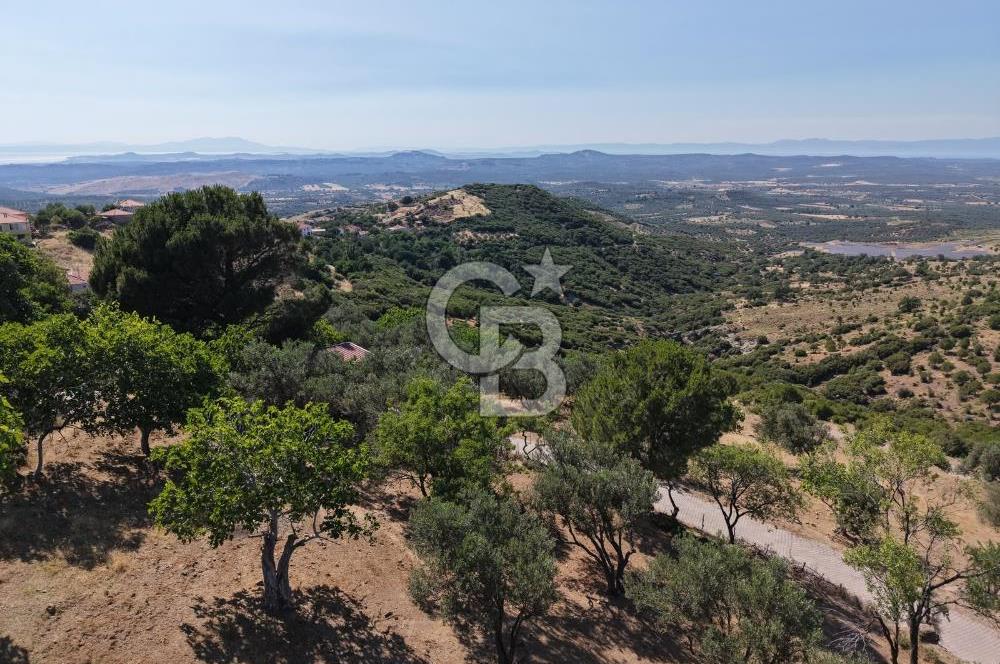 AYVALIK BULUTÇEŞME KÖYÜ'NDE DENİZ MANZARALI 3.618 m² YATIRIMLIK