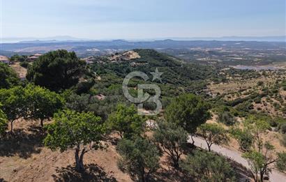 AYVALIK BULUTÇEŞME KÖYÜ'NDE DENİZ MANZARALI 3.618 m² YATIRIMLIK