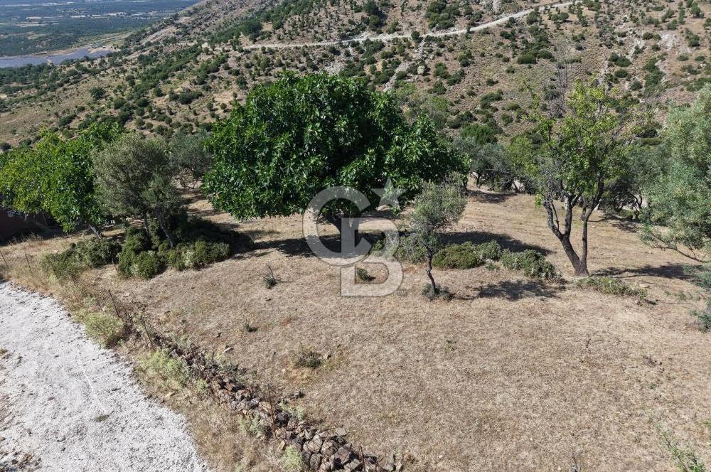 AYVALIK BULUTÇEŞME KÖYÜ'NDE DENİZ MANZARALI 3.618 m² YATIRIMLIK