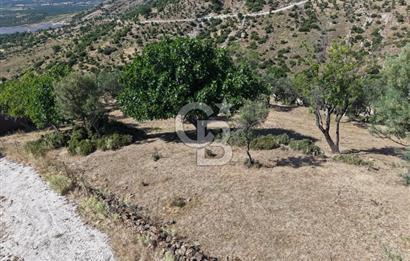 AYVALIK BULUTÇEŞME KÖYÜ'NDE DENİZ MANZARALI 3.618 m² YATIRIMLIK