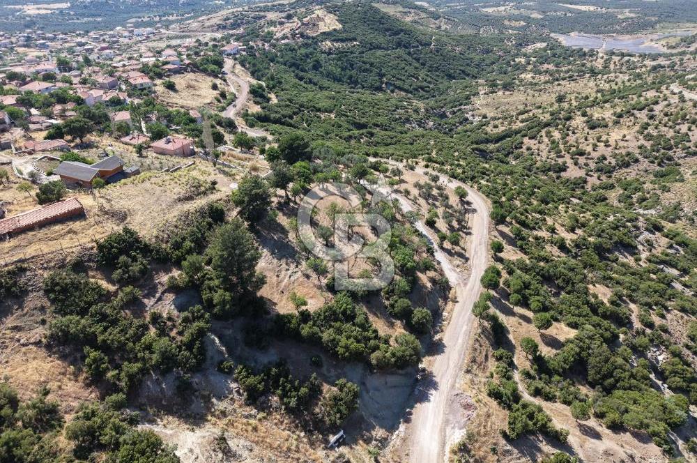 AYVALIK BULUTÇEŞME KÖYÜ'NDE DENİZ MANZARALI 3.618 m² YATIRIMLIK