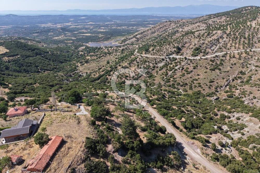 AYVALIK BULUTÇEŞME KÖYÜ'NDE DENİZ MANZARALI 3.618 m² YATIRIMLIK