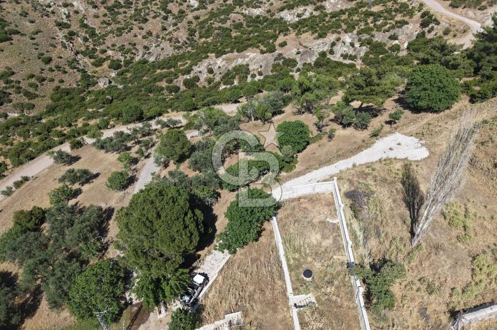AYVALIK BULUTÇEŞME KÖYÜ'NDE DENİZ MANZARALI 3.618 m² YATIRIMLIK