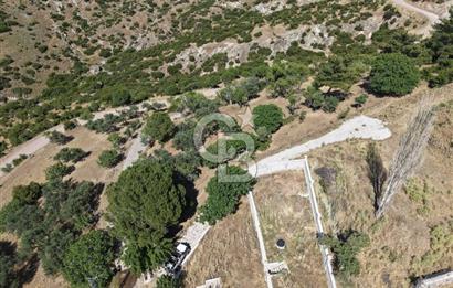 AYVALIK BULUTÇEŞME KÖYÜ'NDE DENİZ MANZARALI 3.618 m² YATIRIMLIK