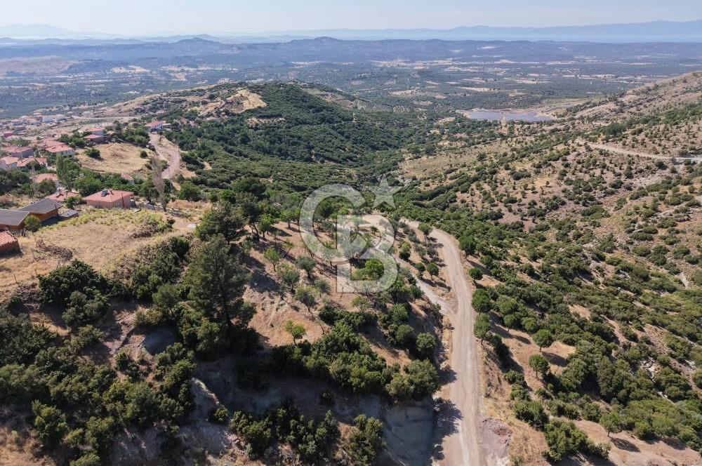 AYVALIK BULUTÇEŞME KÖYÜ'NDE DENİZ MANZARALI 3.618 m² YATIRIMLIK