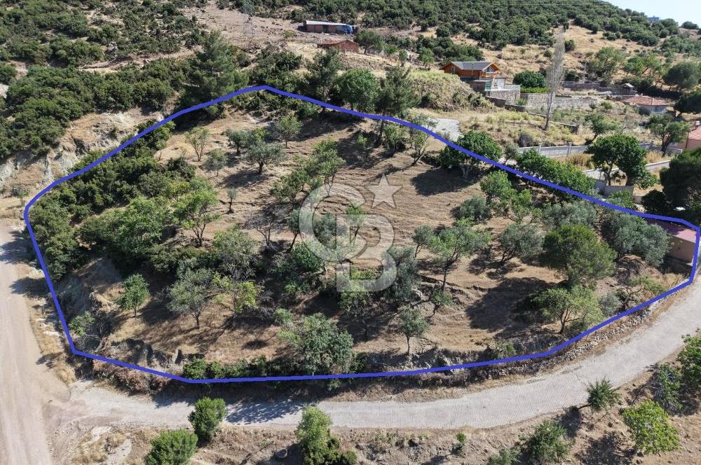AYVALIK BULUTÇEŞME KÖYÜ'NDE DENİZ MANZARALI 3.618 m² YATIRIMLIK