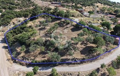 AYVALIK BULUTÇEŞME KÖYÜ'NDE DENİZ MANZARALI 3.618 m² YATIRIMLIK