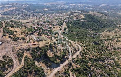 AYVALIK BULUTÇEŞME KÖYÜ'NDE DENİZ MANZARALI 3.618 m² YATIRIMLIK