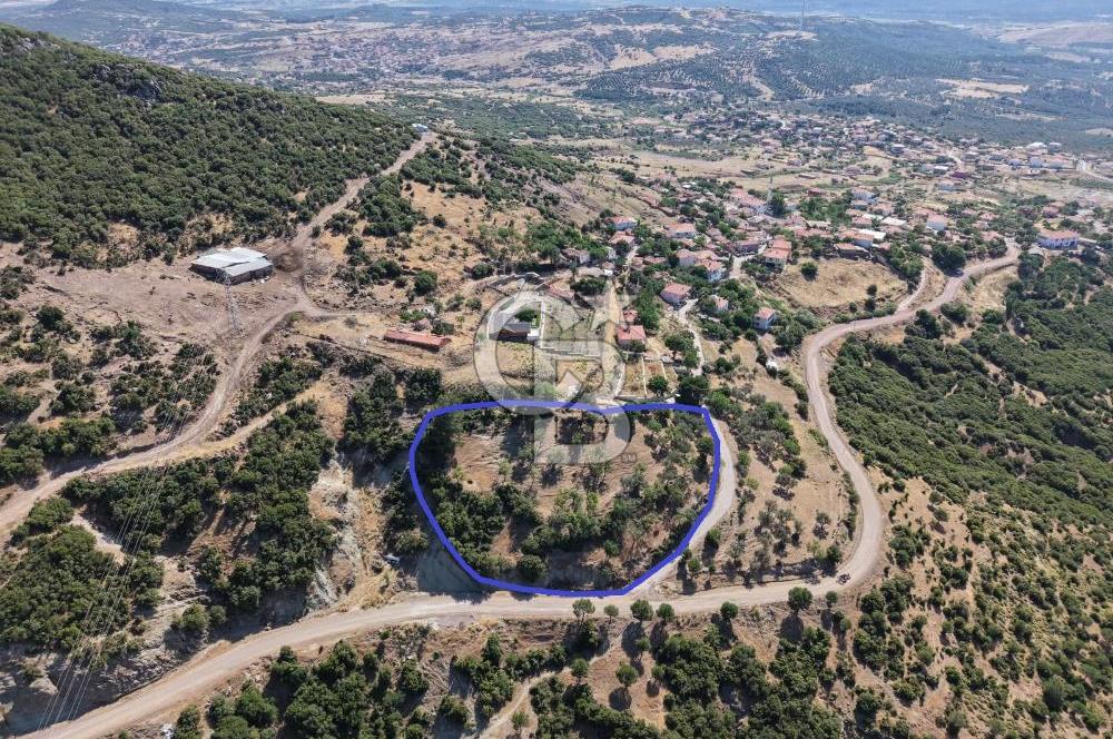 AYVALIK BULUTÇEŞME KÖYÜ'NDE DENİZ MANZARALI 3.618 m² YATIRIMLIK