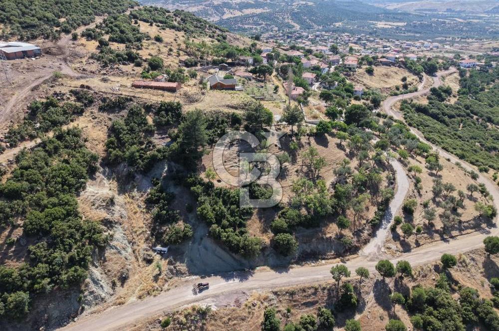 AYVALIK BULUTÇEŞME KÖYÜ'NDE DENİZ MANZARALI 3.618 m² YATIRIMLIK