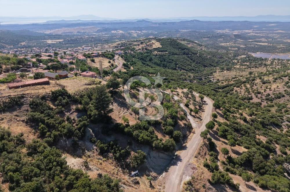 AYVALIK BULUTÇEŞME KÖYÜ'NDE DENİZ MANZARALI 3.618 m² YATIRIMLIK
