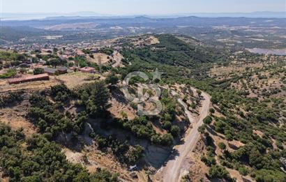AYVALIK BULUTÇEŞME KÖYÜ'NDE DENİZ MANZARALI 3.618 m² YATIRIMLIK