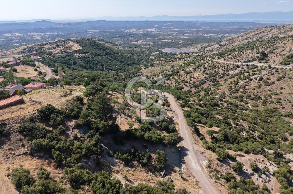 AYVALIK BULUTÇEŞME KÖYÜ'NDE DENİZ MANZARALI 3.618 m² YATIRIMLIK