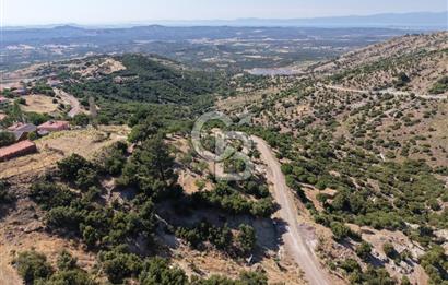 AYVALIK BULUTÇEŞME KÖYÜ'NDE DENİZ MANZARALI 3.618 m² YATIRIMLIK