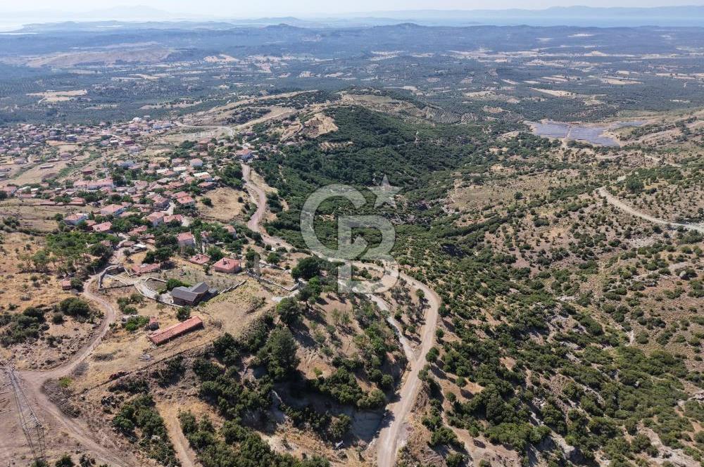 AYVALIK BULUTÇEŞME KÖYÜ'NDE DENİZ MANZARALI 3.618 m² YATIRIMLIK