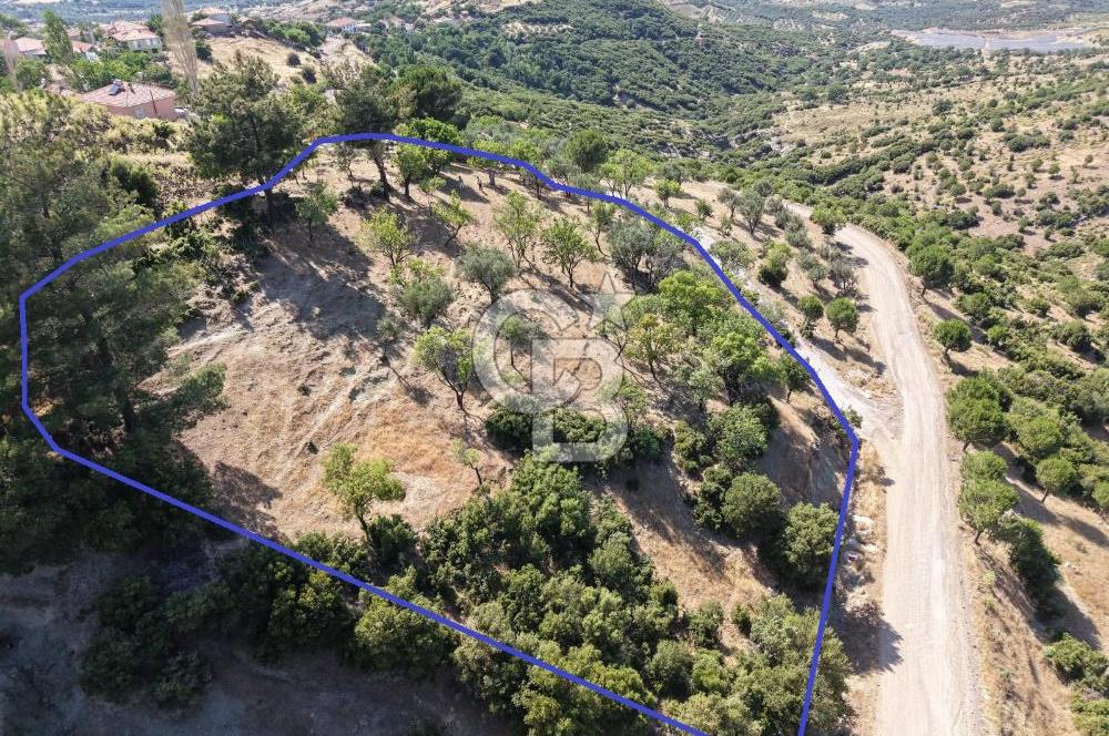 AYVALIK BULUTÇEŞME KÖYÜ'NDE DENİZ MANZARALI 3.618 m² YATIRIMLIK