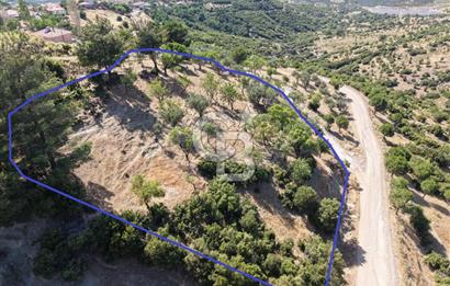 AYVALIK BULUTÇEŞME KÖYÜ'NDE DENİZ MANZARALI 3.618 m² YATIRIMLIK
