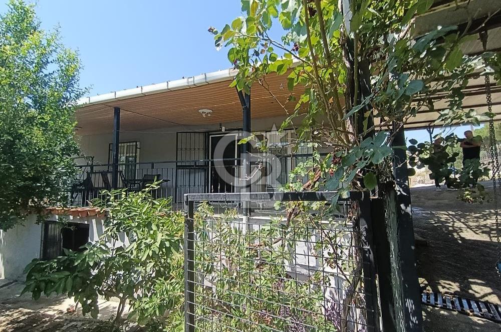 Doğançay'da Meyve Bahçeli 2+1 Evi Olan Satılık Hisseli Tarla