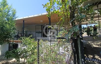 Doğançay'da Meyve Bahçeli 2+1 Evi Olan Satılık Hisseli Tarla