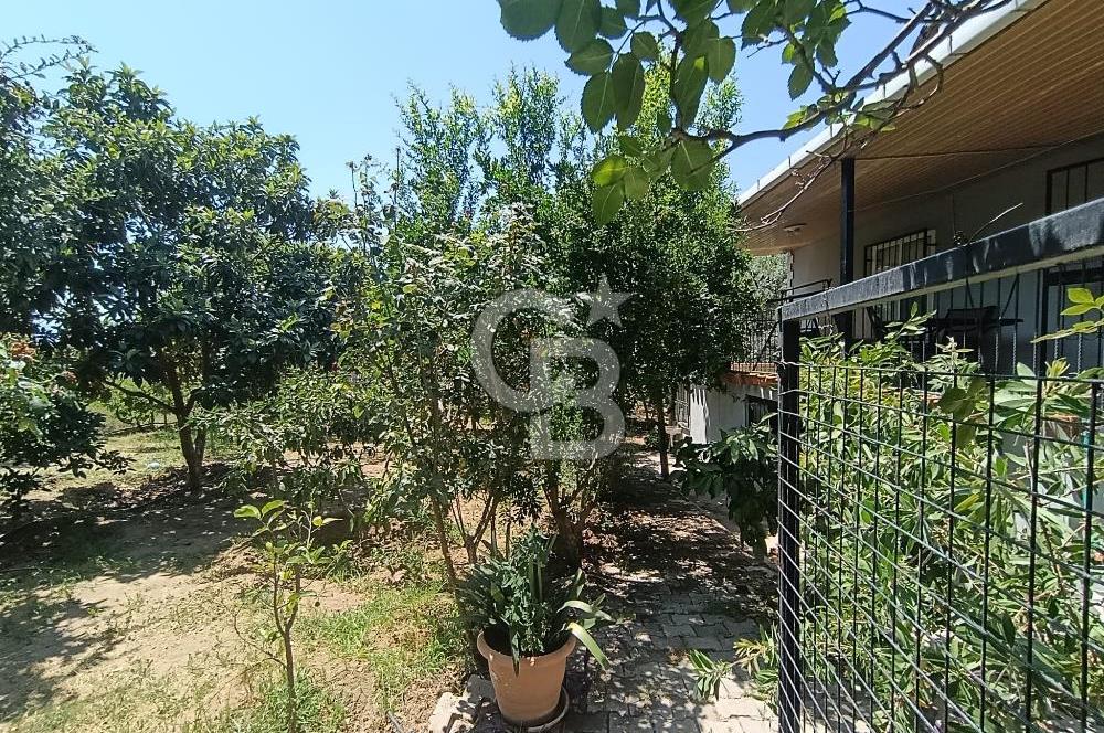 Doğançay'da Meyve Bahçeli 2+1 Evi Olan Satılık Hisseli Tarla