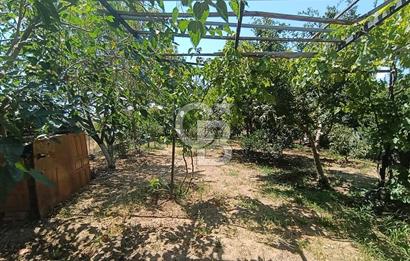 Doğançay'da Meyve Bahçeli 2+1 Evi Olan Satılık Hisseli Tarla