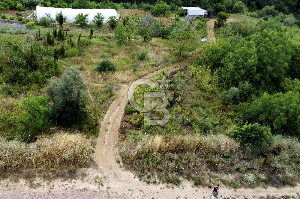 CB ATLAS'TAN KABAOĞLU'NDA 1093 M2 VİLLA İMARLI YOLA CEPHE ARSA