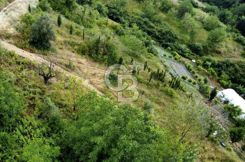 CB ATLAS'TAN KABAOĞLU'NDA 1093 M2 VİLLA İMARLI YOLA CEPHE ARSA