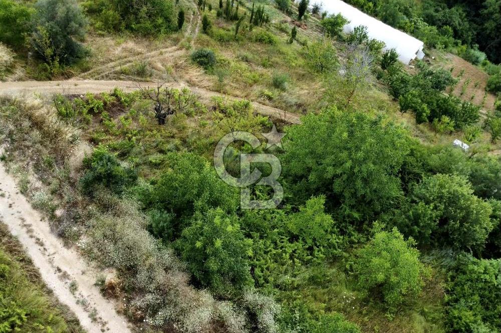 CB ATLAS'TAN KABAOĞLU'NDA 1093 M2 VİLLA İMARLI YOLA CEPHE ARSA