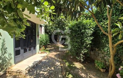 Çekmeköy Mimar Sinan 3+1 Kiralık Daire 