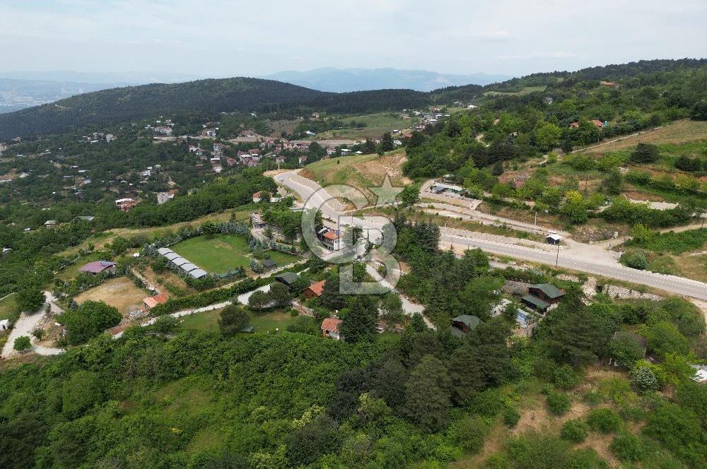 BURSA, ULUDAĞ YOLU ÜZERİNDE SATILIK AHŞAP DAĞ EVLERİ