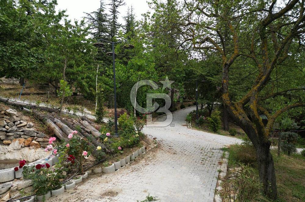 BURSA, ULUDAĞ YOLU ÜZERİNDE SATILIK AHŞAP DAĞ EVLERİ
