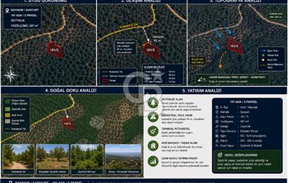 Bayındır Kaplıcalar Ve Kadastral Yol Yakını Müstakil Tapulu 297 M2 Fırsat Zeytinlik