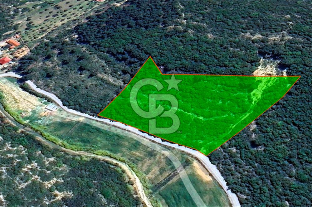 Urla Torasan’da Asfalt Cepheli, Deniz Manzaralı Eşsiz Arazi