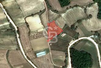 KANDIRA KARLI'DA RESMİ YOLA CEPHE 2725M² SATILIK ARSA - 7 - 359364