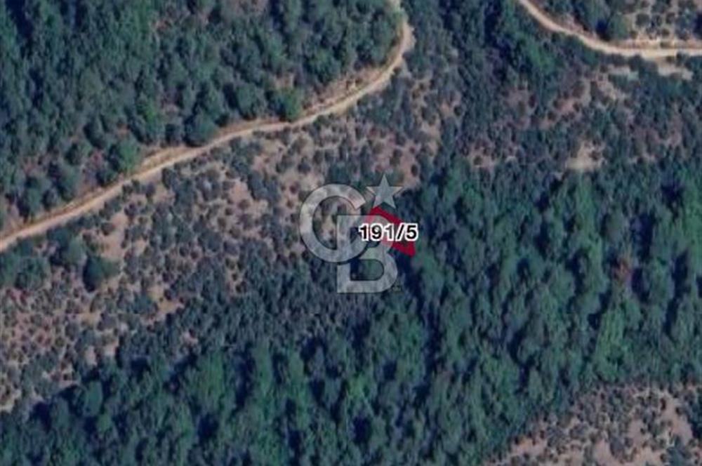 Bayındır Kaplıcalar Ve Kadastral Yol Yakını Müstakil Tapulu 297 M2 Fırsat Zeytinlik