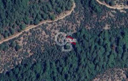 Bayındır Kaplıcalar Ve Kadastral Yol Yakını Müstakil Tapulu 297 M2 Fırsat Zeytinlik