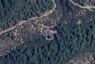 Bayındır Kaplıcalar Ve Kadastral Yol Yakını Müstakil Tapulu 297 M2 Fırsat Zeytinlik - 1 - 359350
